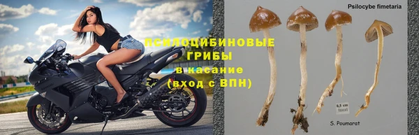 гашик Алзамай