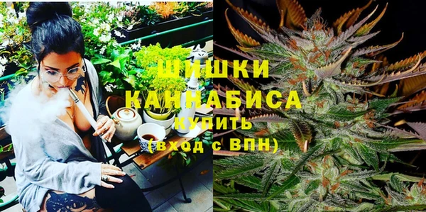 гашик Алзамай