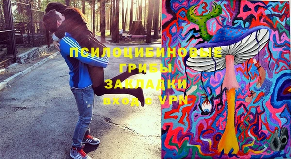 PSILOCYBIN Алексин