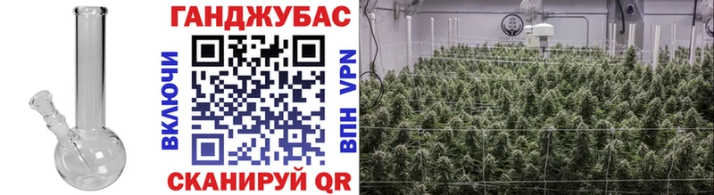 Канабис план  наркошоп  Тамбов 
